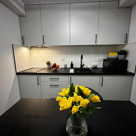 Skwerowa Nest Apartment *